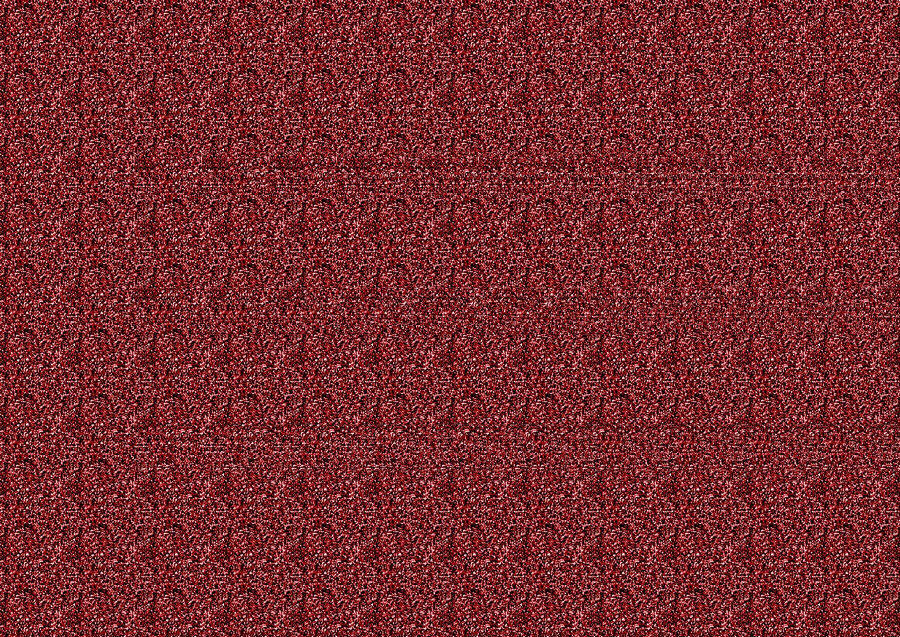 sr38_3.jpg